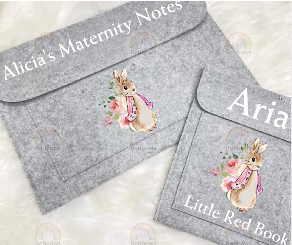 Maternity Notes Folder