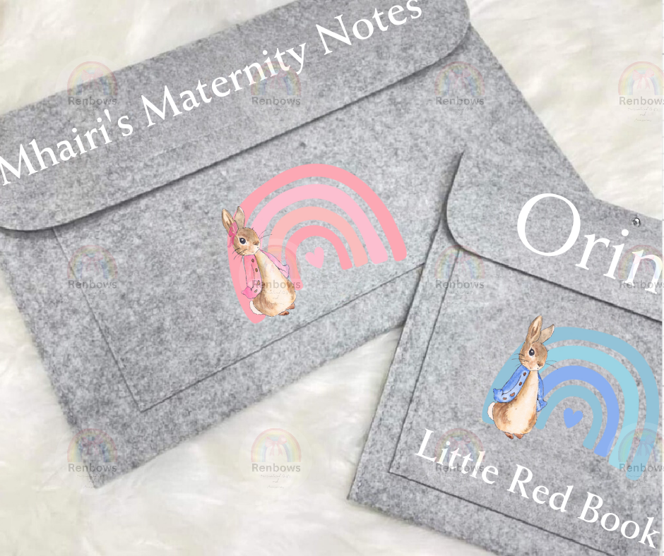 Maternity Notes Folder